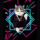 Cool Cat Wallpaper APK