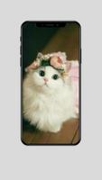 Cool Cat Wallpaper ảnh chụp màn hình 2