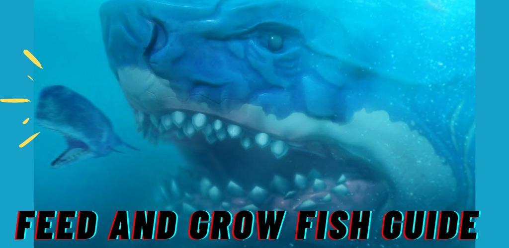 App Walkthrough feed and grow fish Android app 2021 