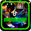DJ Papi Chulo Remix Tiktok