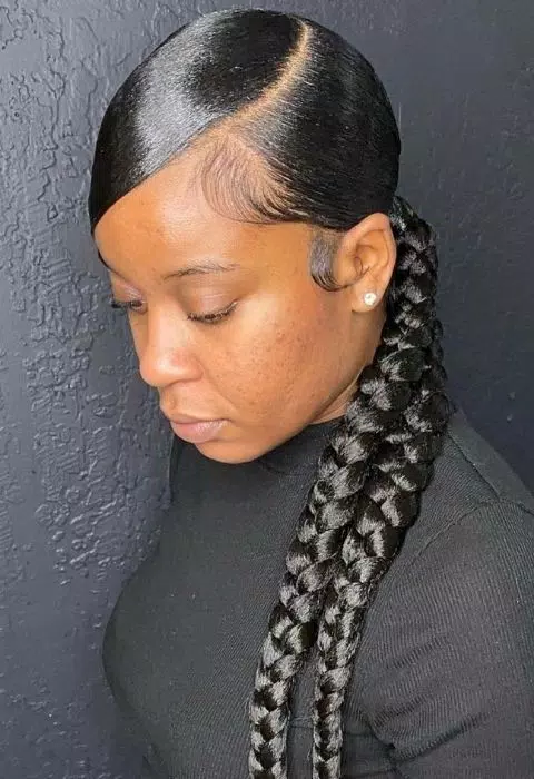 Sleek Braided Ponytail Styles APK for Android Download
