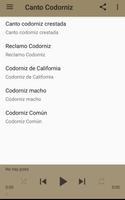 Canto Codorniz скриншот 1