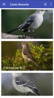 Canto Sinsonte plakat