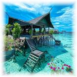 Fondos de pantalla. Naturaleza