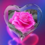 Poemas y Rosas Día de la MADRE