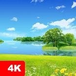 RN Nature Wallpaper 4K