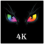 Wallpaper 4K Black 2022