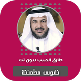 نفوس مطمئنة طارق الحبيب أيقونة