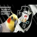 Hino do Vasco para Calopsita