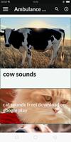 cow sounds Affiche