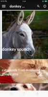 donkey sounds Affiche