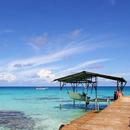 Beach Wallpaper HD APK