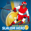 Slalom Hero