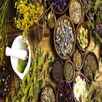 Herbal benefits APK