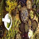 Herbal benefits APK