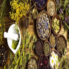 Herbal benefits icon