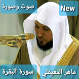 سورة البقرة mp3 ( ماهر المعيقلي)