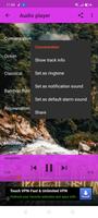 Sounds of Instrumental & Nature Offline Poster
