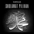 Sholawat pilihan, text dan audio-APK