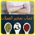Herbs to amplify muscles