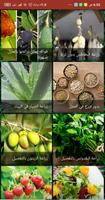 أساسيات الزراعة في المنزل (بدون نت ) ảnh chụp màn hình 3