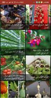 أساسيات الزراعة في المنزل (بدون نت ) ảnh chụp màn hình 2