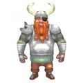 Viking 2021 new