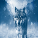 wolf wallpaper APK