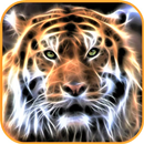 tiger wallpaper APK