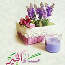 مساء الخير في صور APK