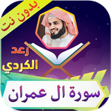 سورة ال عمران رعد الكردي icono