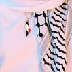 اغاني فلسطينية بدون نت 2021