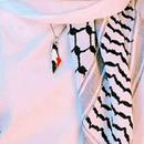 اغاني فلسطينية بدون نت 2021 APK