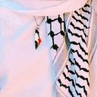 اغاني فلسطينية بدون نت 2021 ícone