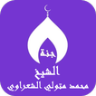 Mohammed Metwally Al Shaarawi