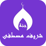 قران بصوت شريف مصطفى بدون نت icône