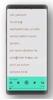 hulyanin şarkilar screenshot 3