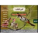 انين القلب العصافير لا تموت جوعا نبيل عيسى الخطيب-APK