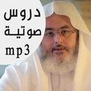 محمد صالح المنجد mp3 APK