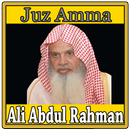 Juz 30 MP3 OFFLINE : Syeikh Ab APK
