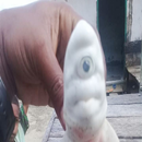 العثور على سمكة قرش بيضاء بعين واحدة! APK