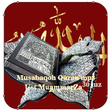 Musabaqoh 30 juz Ust Muammar Za mp3