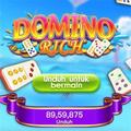Domino Rich QiuQiu Guide