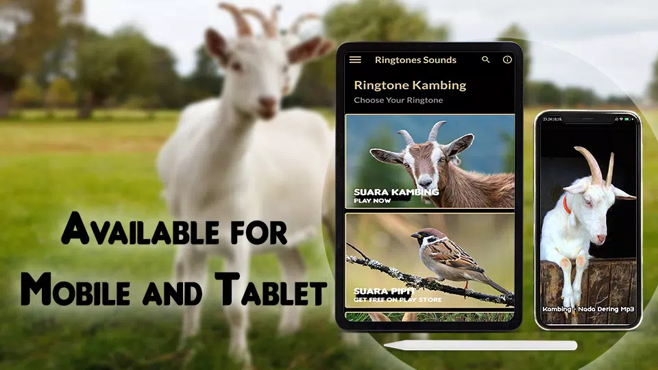 Kambing - Nada Dering Mp3 APK for Android Download