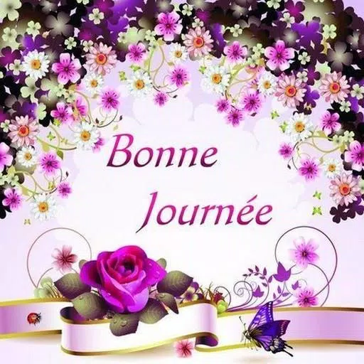 Bonjour Bonsoir Et Bon Apres Midi Apk For Android Download