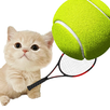 Cat Tennis Star APK
