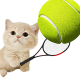 Cat Tennis Star