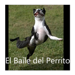 El baile del Perrito