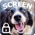 Cute Dog Puppy Theme HD Wallpaper Screen Lock
