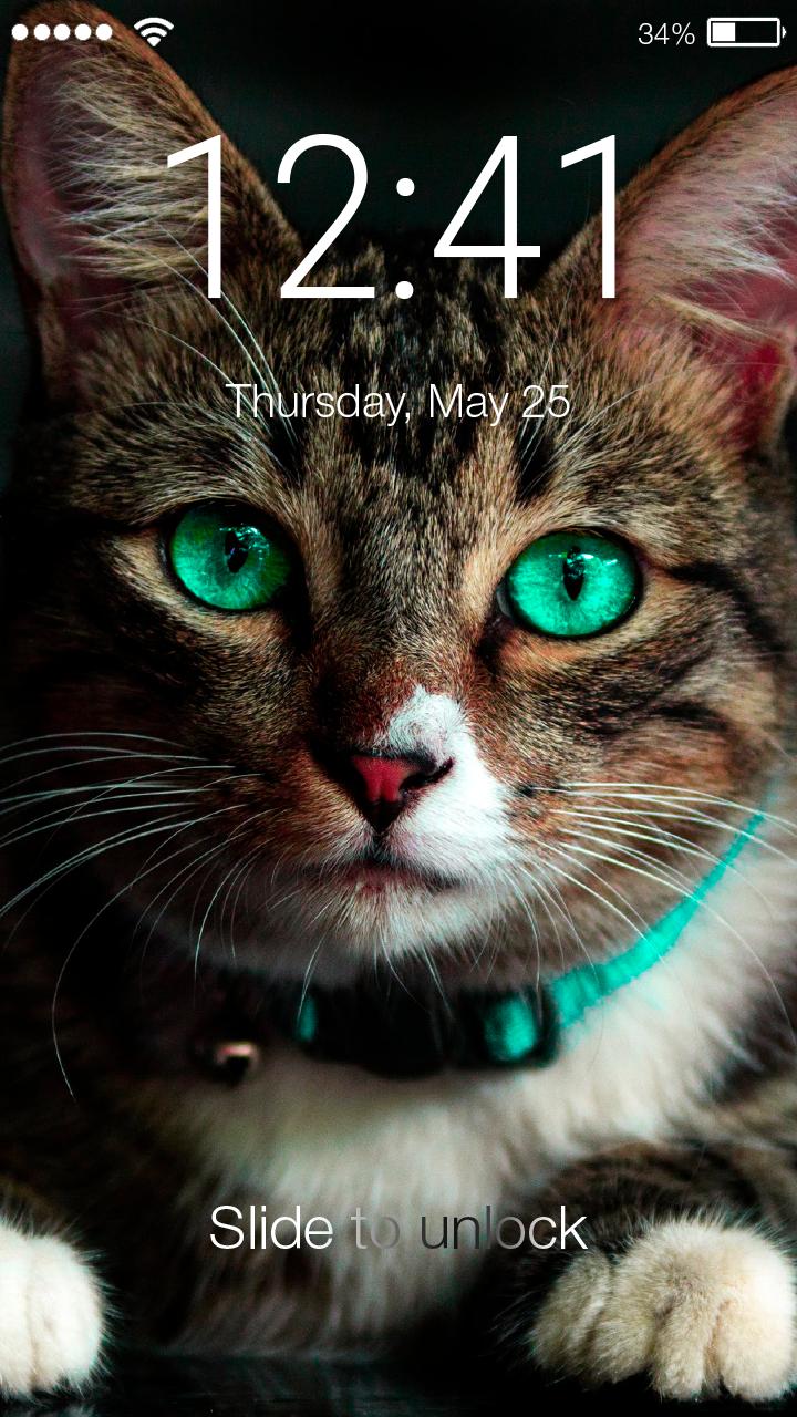 Cat Lock Screen Wallpaper